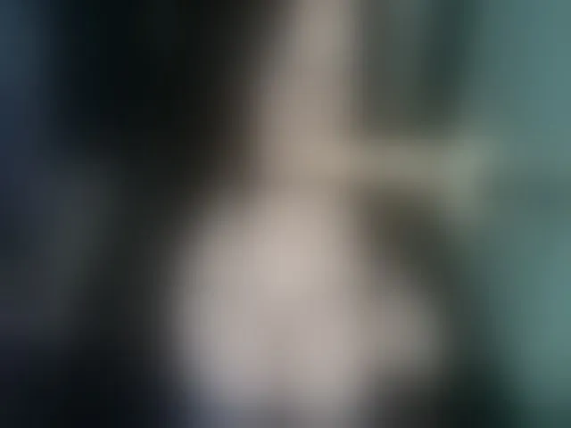 Live sex webcam photo for MilfBigTitsa #293877084