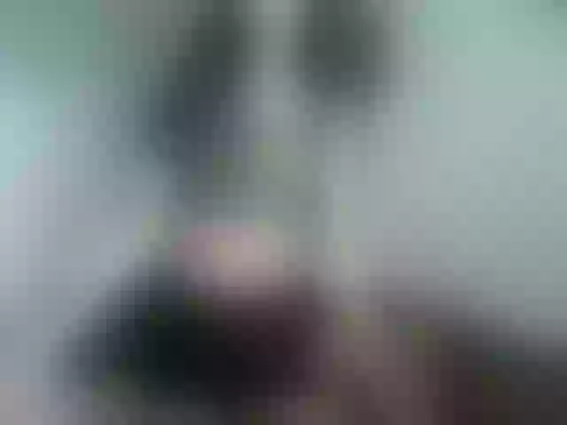Live sex webcam photo for MilfLunna #291999639