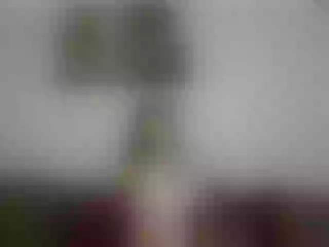 Live sex webcam photo for MilfLunna #292235036