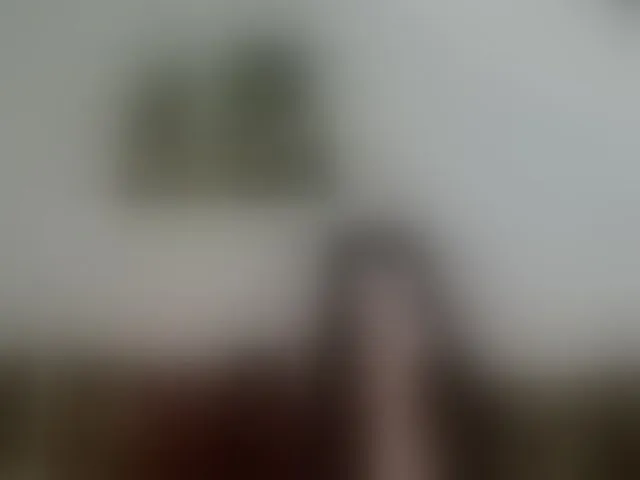 Live sex webcam photo for MilfLunna #292475348