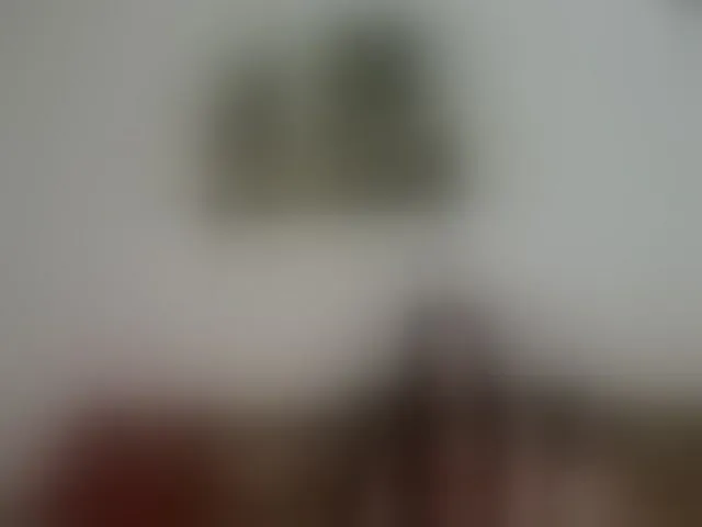 Live sex webcam photo for MilfLunna #293440613
