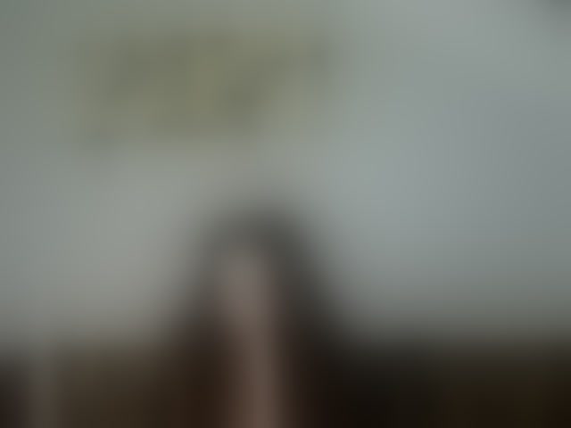 Live sex webcam photo for MilfLunna #294210872