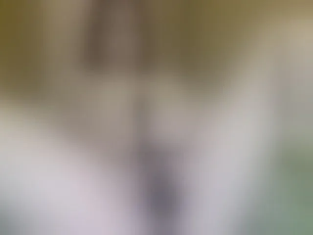 Live sex webcam photo for MilkaCrystall01 #293645473