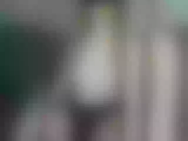 Live sex webcam photo for Milky-Shake #292171012