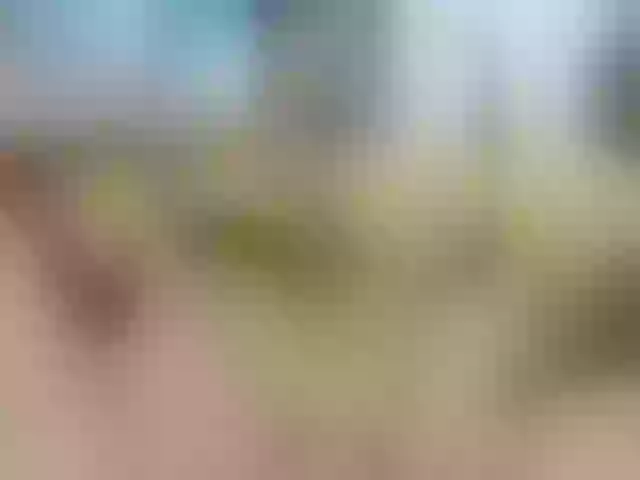 Live sex webcam photo for Minabg6269 #292104952