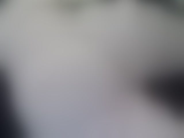 Live sex webcam photo for MiniMilfa #294262794