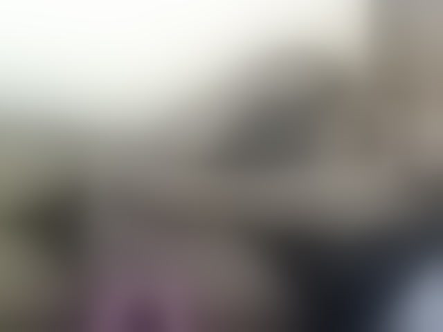 Live sex webcam photo for Minlavine #294161316
