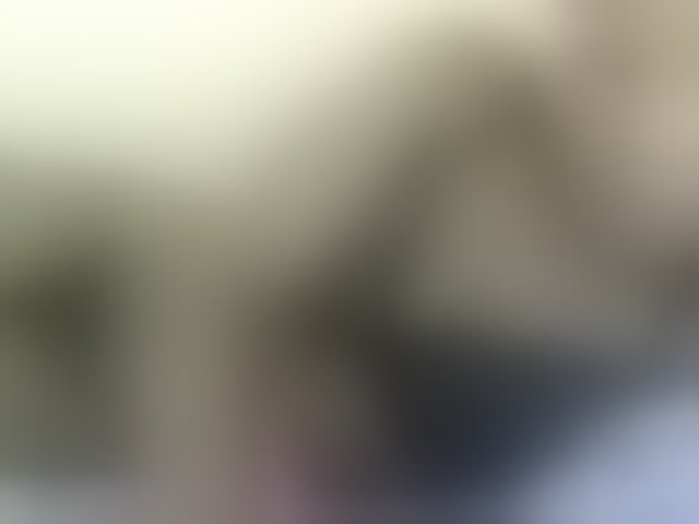 Live sex webcam photo for Minlavine #294234612
