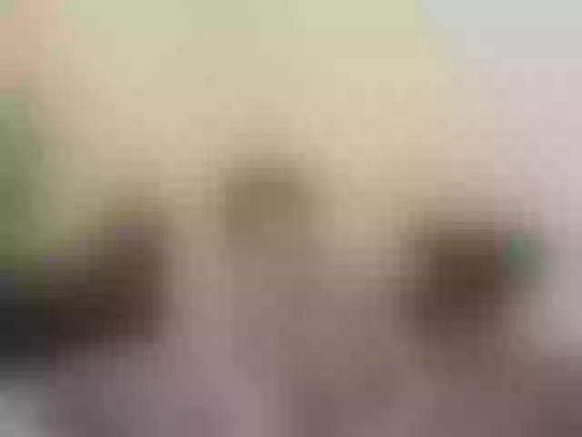 Live sex webcam photo for MiraPleasure #291331987