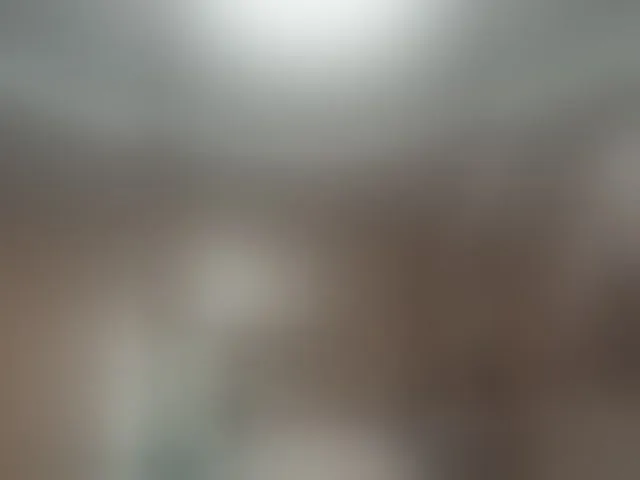 Live sex webcam photo for MiraRobens1 #294009503