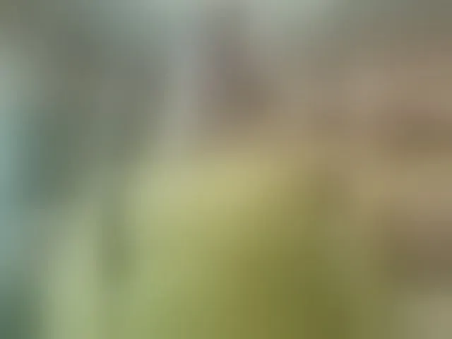 Live sex webcam photo for MiraRobens1 #294152364