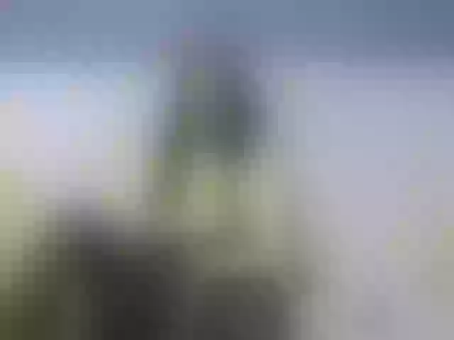 Live sex webcam photo for MiriamFoxx #277462160