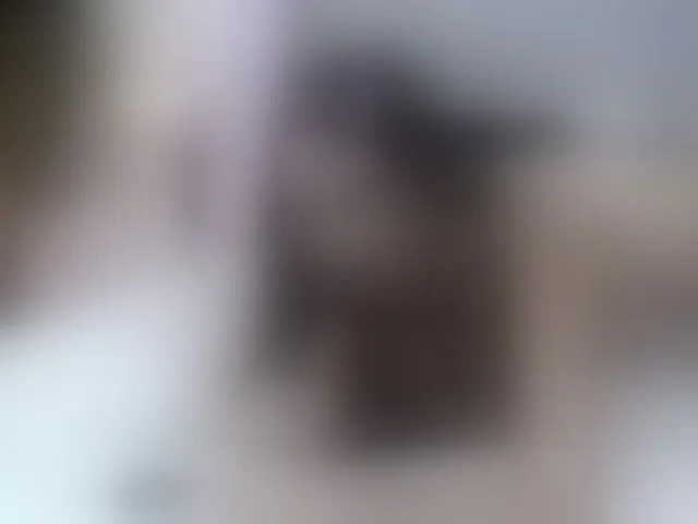 Live sex webcam photo for MiriamFoxx #293442566