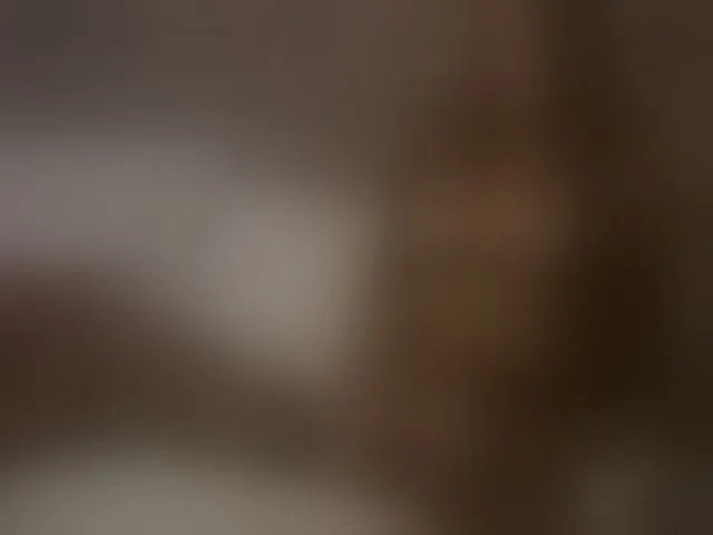 Live sex webcam photo for MiriamFoxx #294156822