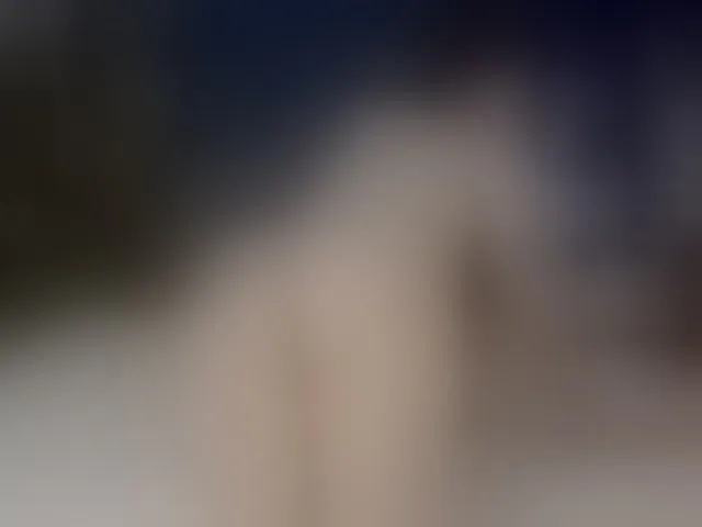 Live sex webcam photo for Mirror-Girl #292684177