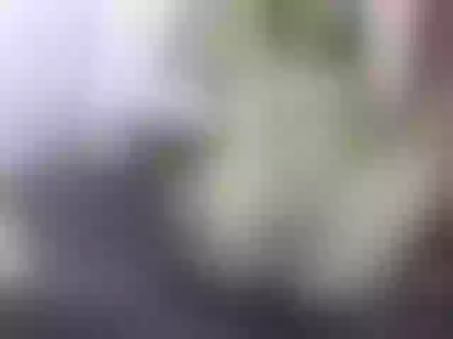 Live sex webcam photo for Miruelle69 #278107752