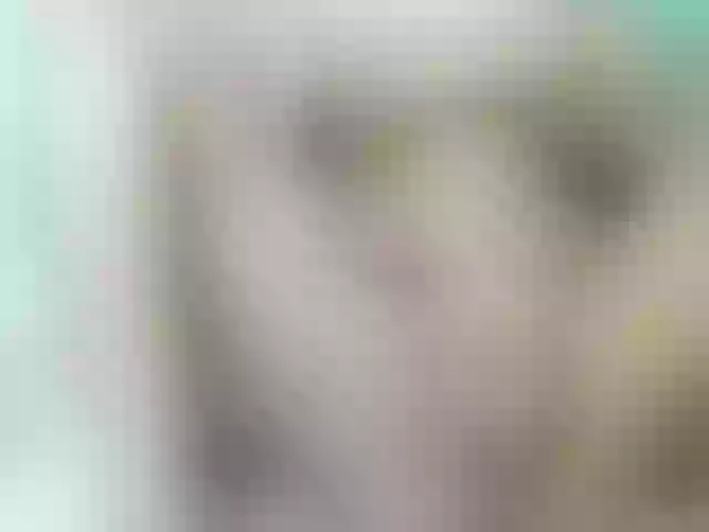 Live sex webcam photo for Miruelle69 #290552493