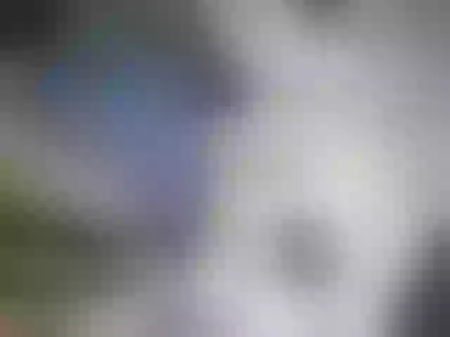 Live sex webcam photo for Mislina #274362119