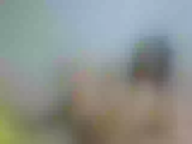 Live sex webcam photo for Miss-Allice #271790011