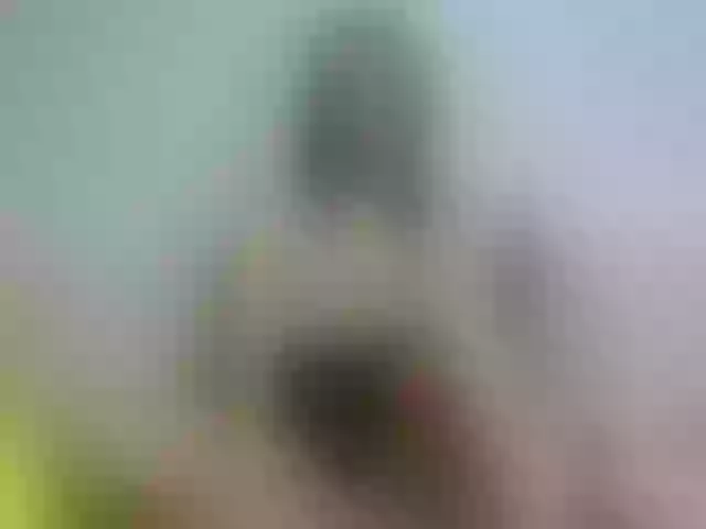 Live sex webcam photo for Miss-Allice #271824952