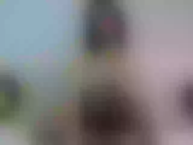 Live sex webcam photo for Miss-Allice #272489280