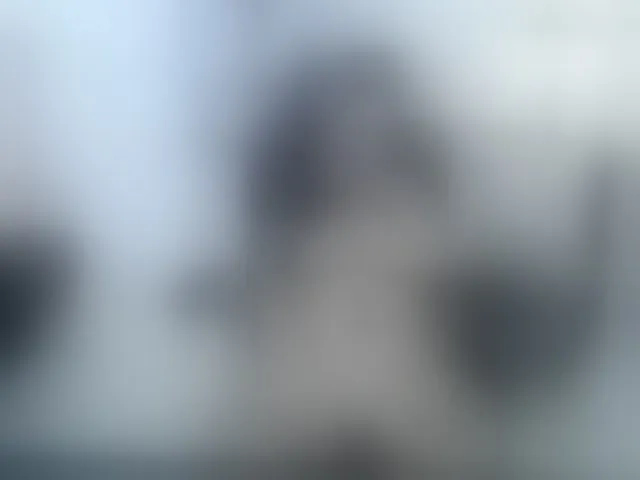 Live sex webcam photo for Miss-Diva1 #293713830