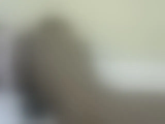 Live sex webcam photo for Miss-beauty #291491090