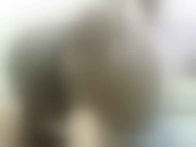 Live sex webcam photo for Miss-beauty #291980097