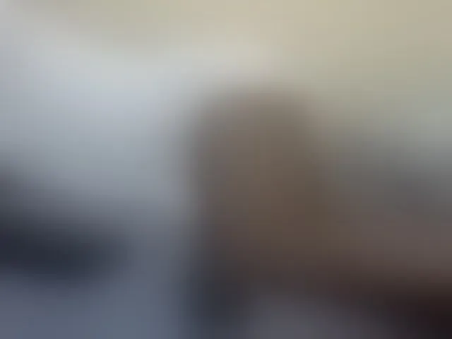 Live sex webcam photo for Miss-beauty #292088172