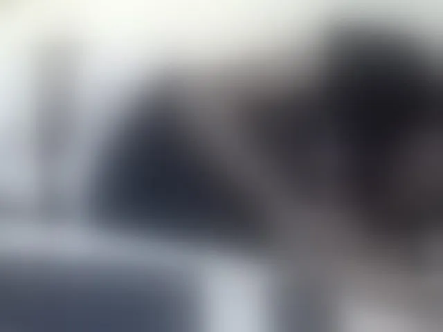 Live sex webcam photo for Miss-beauty #292289229