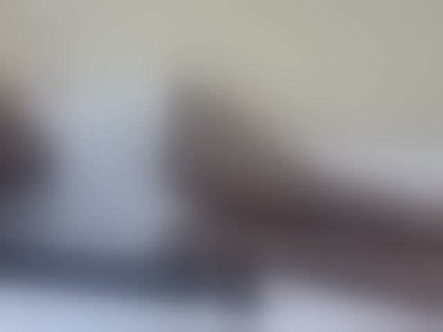 Live sex webcam photo for Miss-beauty #292402832