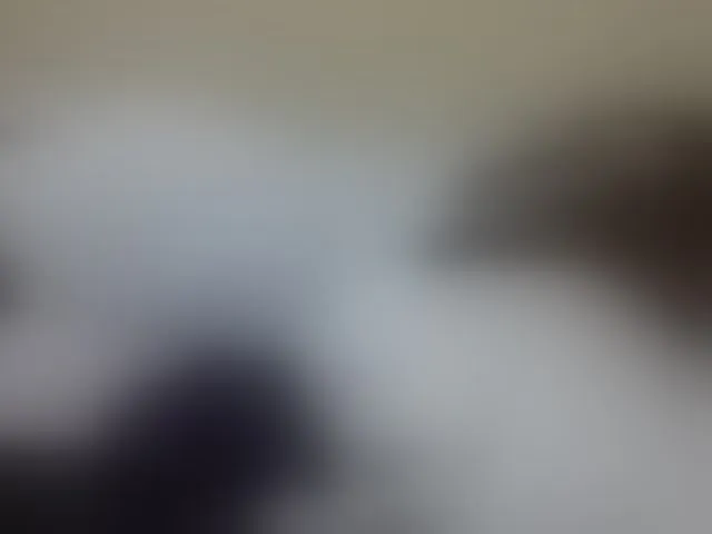 Live sex webcam photo for Miss-beauty #292811192