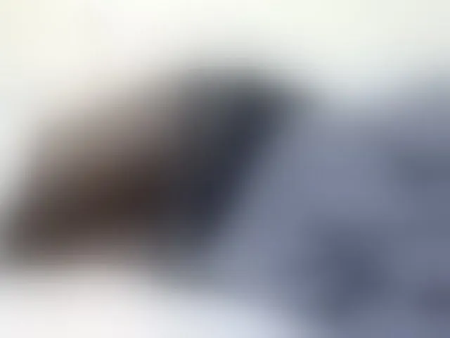 Live sex webcam photo for Miss-beauty #293287444