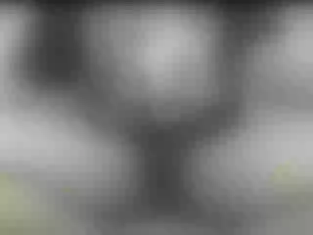 Live sex webcam photo for MissBlackCandy #275649194