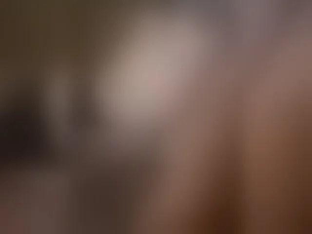 Live sex webcam photo for MissHamilton07 #292350119