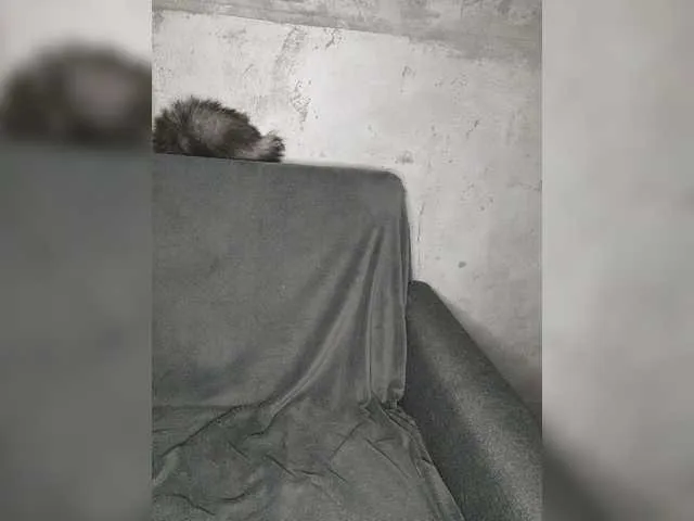 Live sex webcam photo for MissIzi #273920357