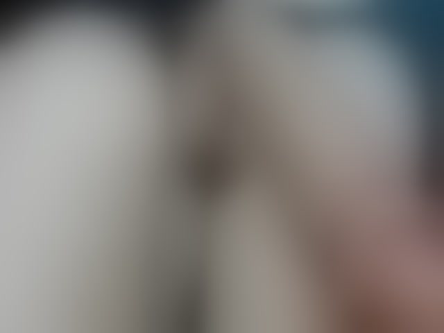 Live sex webcam photo for MissKathyFox #294154735