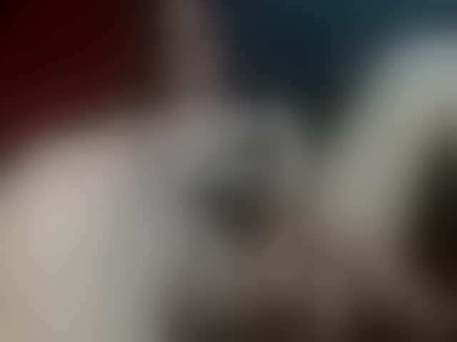 Live sex webcam photo for MissKathyFox #294183532
