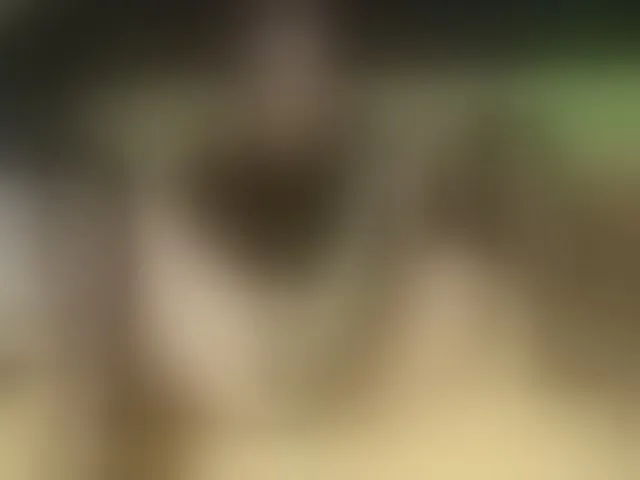 Live sex webcam photo for MissLilyAbrams #293339414