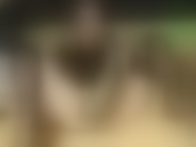 Live sex webcam photo for MissLilyAbrams #294250125