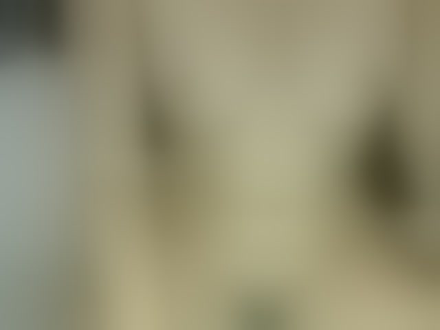 Live sex webcam photo for MissMila #294124931