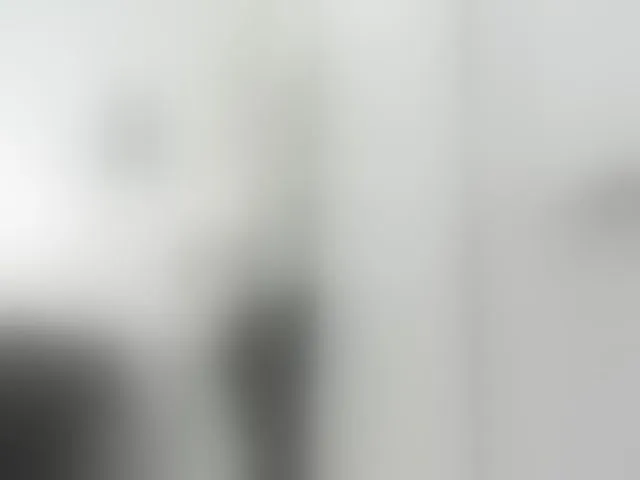 Live sex webcam photo for MissSoffiMorel #293514930