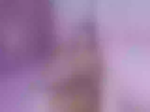 Live sex webcam photo for MissSophie #290162694