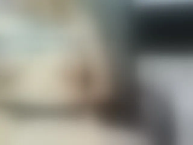 Live sex webcam photo for MissSweetie69 #272213727