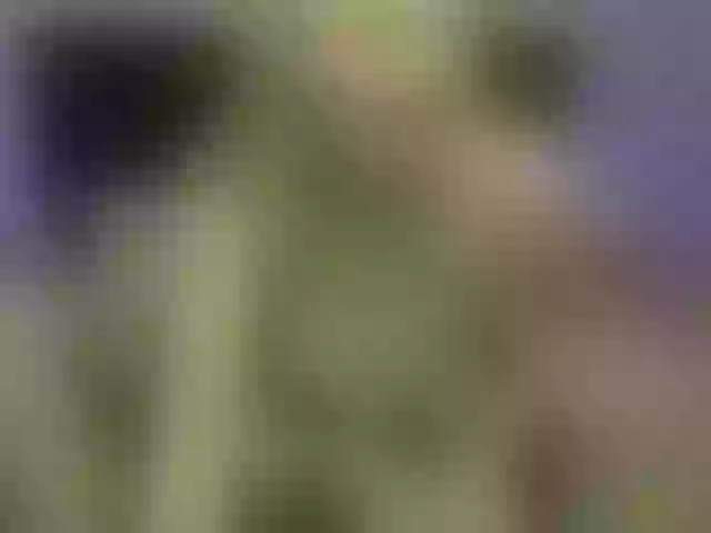Live sex webcam photo for MissSweetie69 #272988373