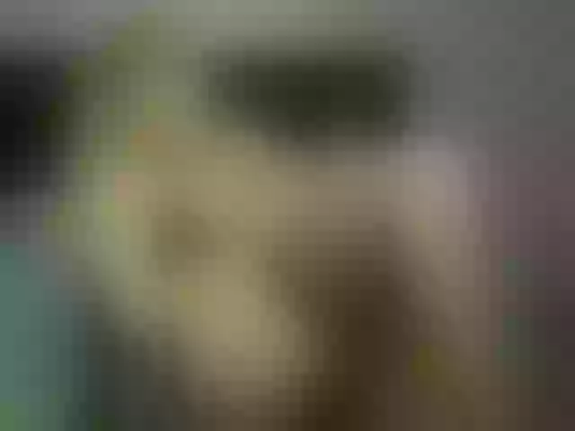 Live sex webcam photo for MissSweetie69 #273148091