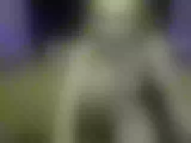 Live sex webcam photo for MissSweetie69 #273434627