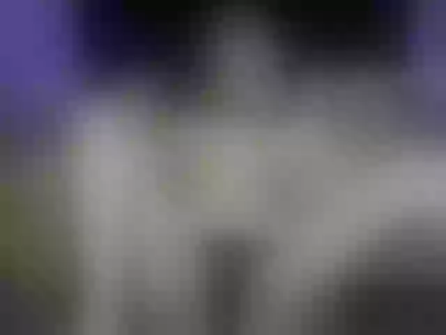 Live sex webcam photo for MissSweetie69 #273492192