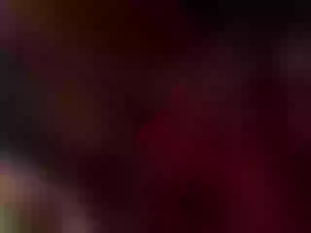 Live sex webcam photo for Missaudreys #292261252