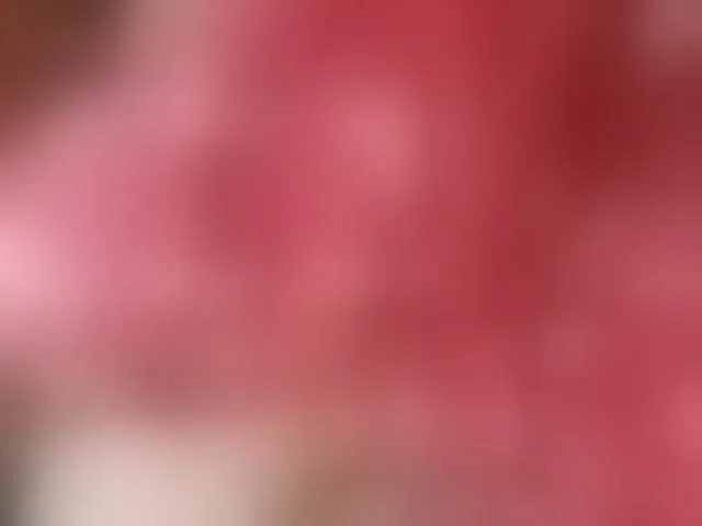 Live sex webcam photo for Missaudreys #293973707